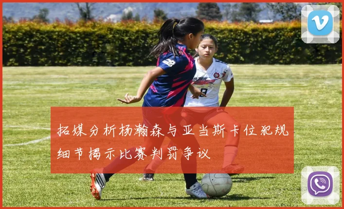 拓媒分析杨瀚森与亚当斯卡位犯规细节揭示比赛判罚争议